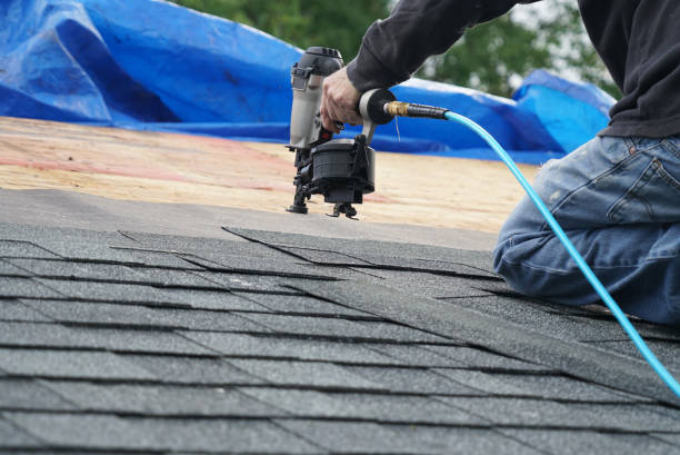 Best Roof Gutter Cleaning  in Genola, UT